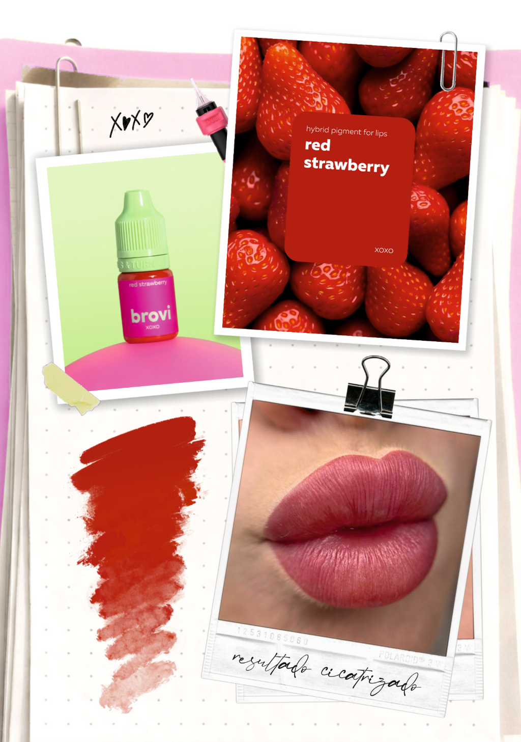 Pigmento Brovi xoxo | Red Strawberry