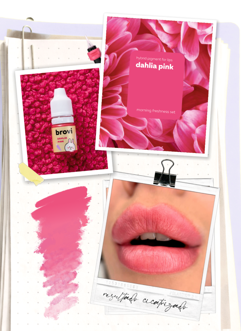 Pigmento Brovi x Shin Chae-ah | Dahlia Pink (fresh #2)