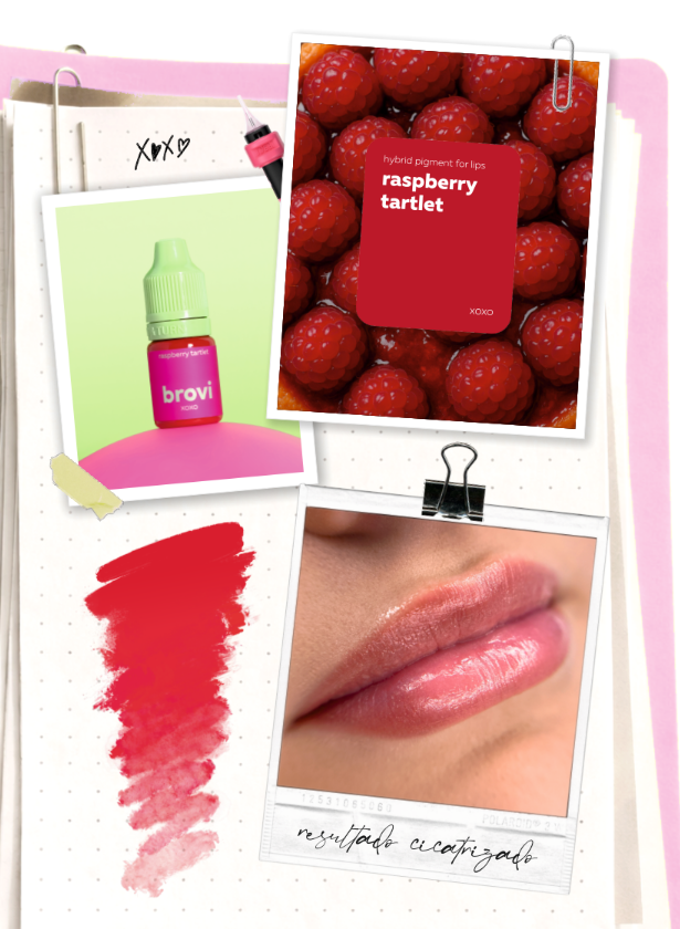 Pigmento Brovi xoxo | Raspberry Tartlet