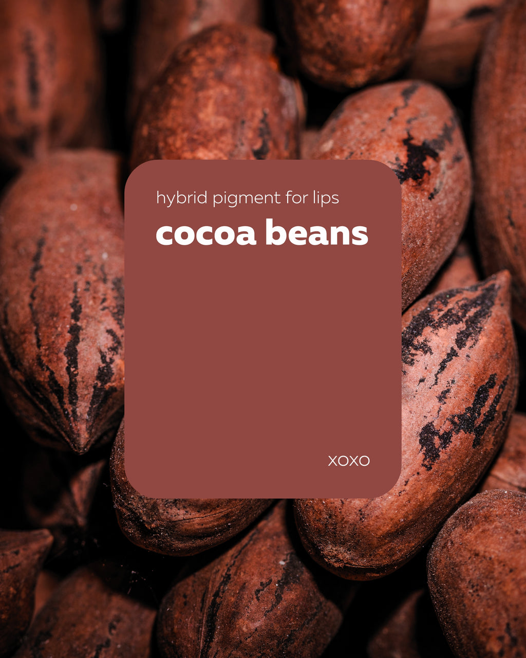 Pigmento Brovi xoxo | Cocoa Beans