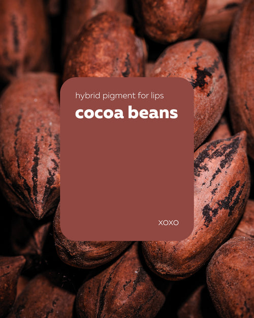 Pigmento Brovi xoxo | Cocoa Beans