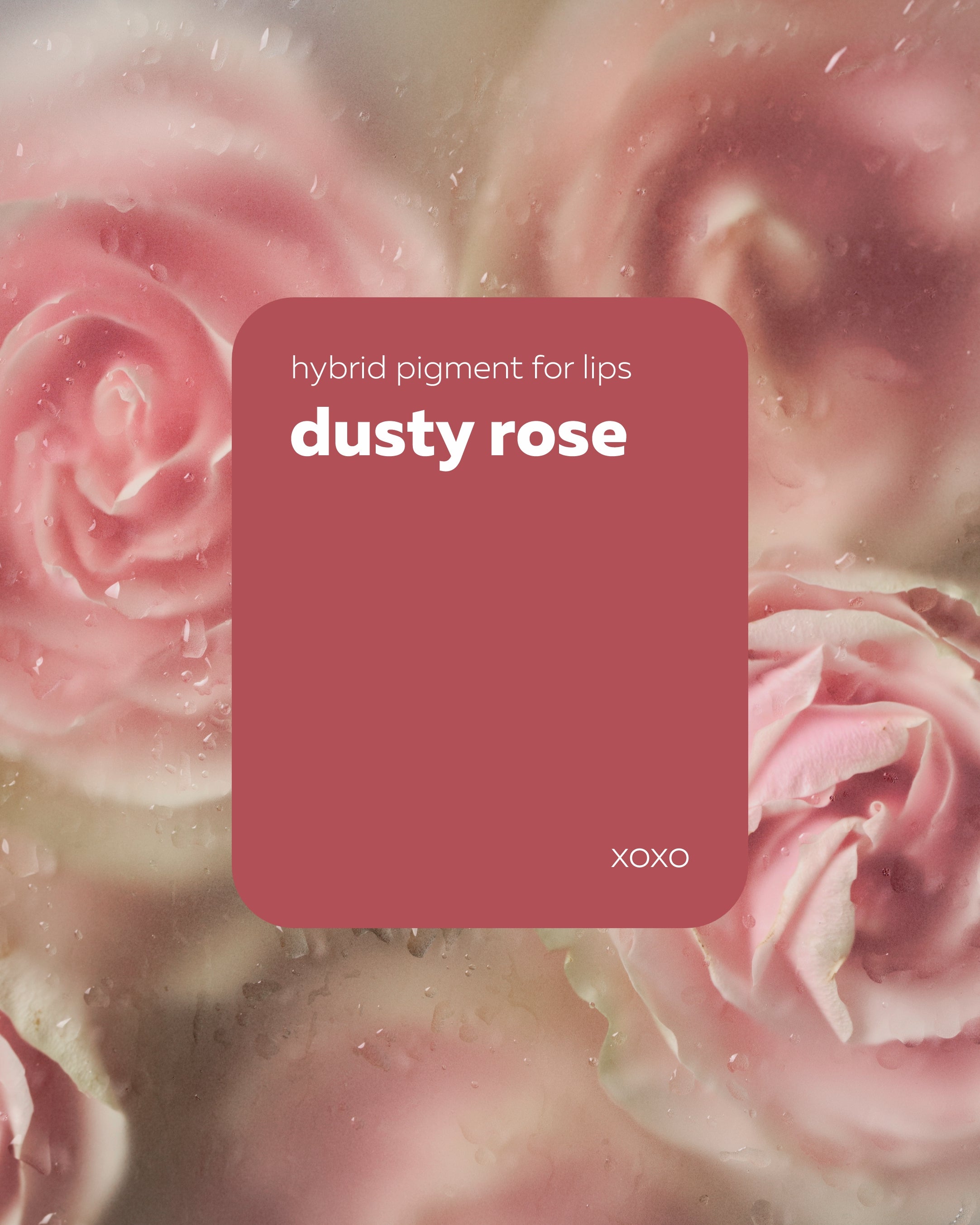 Pigmento Brovi xoxo | Dusty Rose