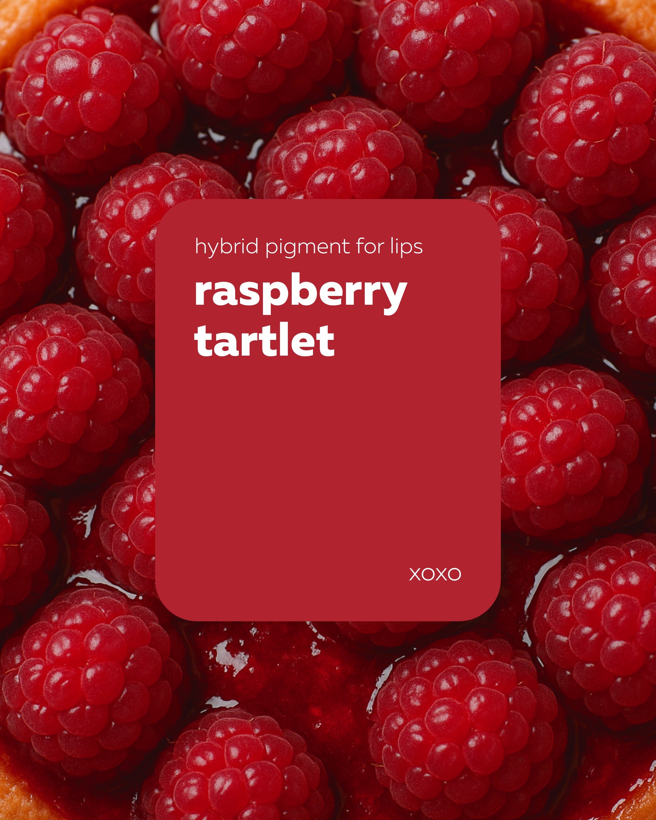 Pigmento Brovi xoxo | Raspberry Tartlet