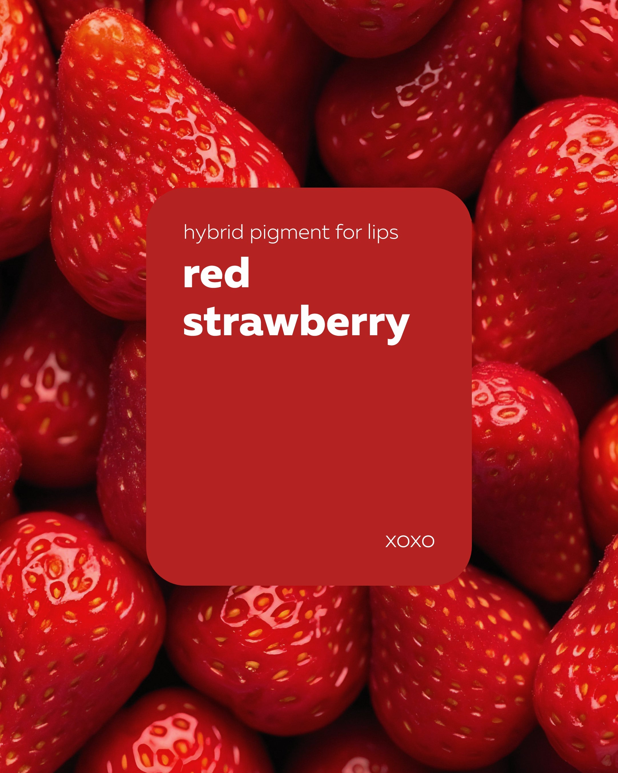 Pigmento Brovi xoxo | Red Strawberry